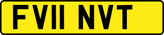FV11NVT