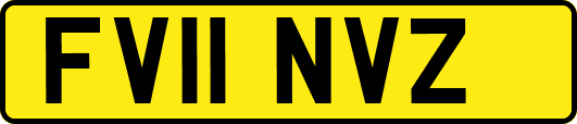 FV11NVZ
