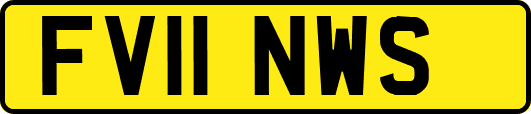 FV11NWS