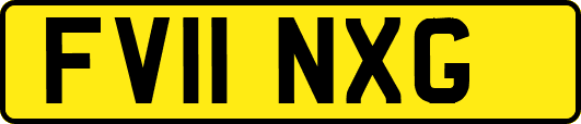 FV11NXG