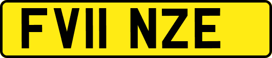 FV11NZE