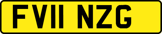 FV11NZG