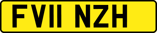 FV11NZH