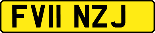 FV11NZJ