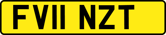 FV11NZT