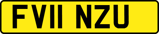 FV11NZU