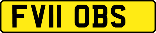 FV11OBS