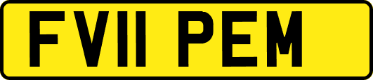 FV11PEM