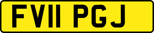 FV11PGJ