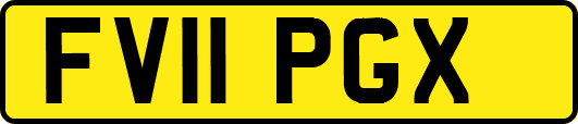 FV11PGX