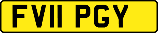 FV11PGY