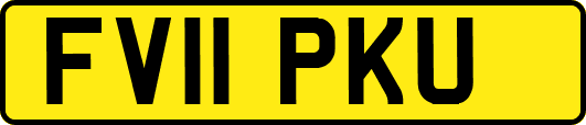 FV11PKU
