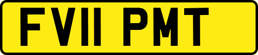 FV11PMT
