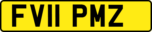 FV11PMZ