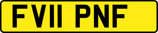 FV11PNF