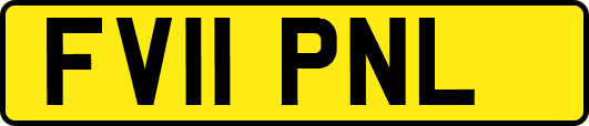 FV11PNL