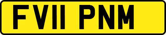 FV11PNM