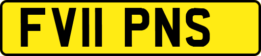 FV11PNS