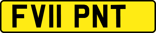 FV11PNT