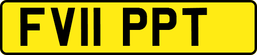FV11PPT