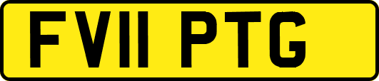 FV11PTG