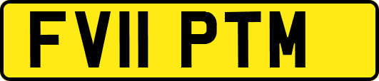 FV11PTM