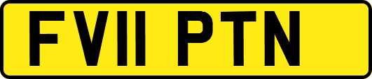 FV11PTN