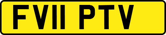 FV11PTV