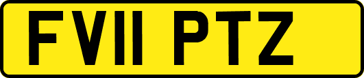 FV11PTZ