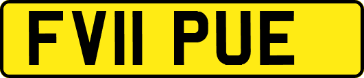 FV11PUE