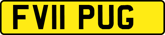 FV11PUG