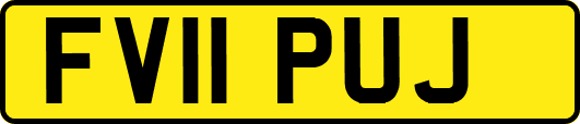 FV11PUJ
