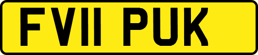 FV11PUK