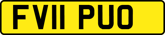 FV11PUO
