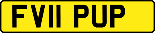FV11PUP