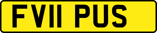 FV11PUS