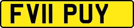 FV11PUY