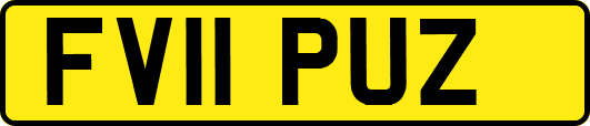 FV11PUZ