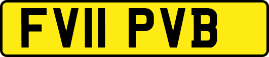 FV11PVB