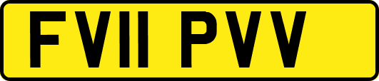 FV11PVV