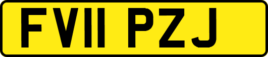 FV11PZJ