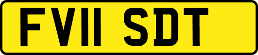 FV11SDT