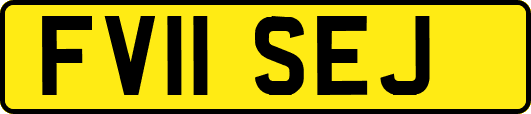 FV11SEJ