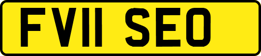 FV11SEO