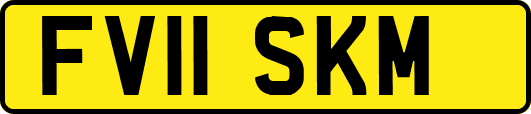 FV11SKM