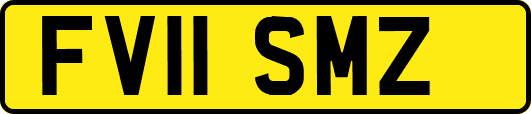 FV11SMZ