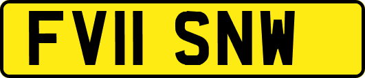FV11SNW