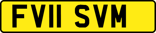 FV11SVM