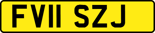 FV11SZJ