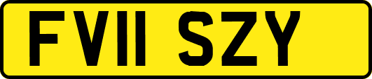 FV11SZY